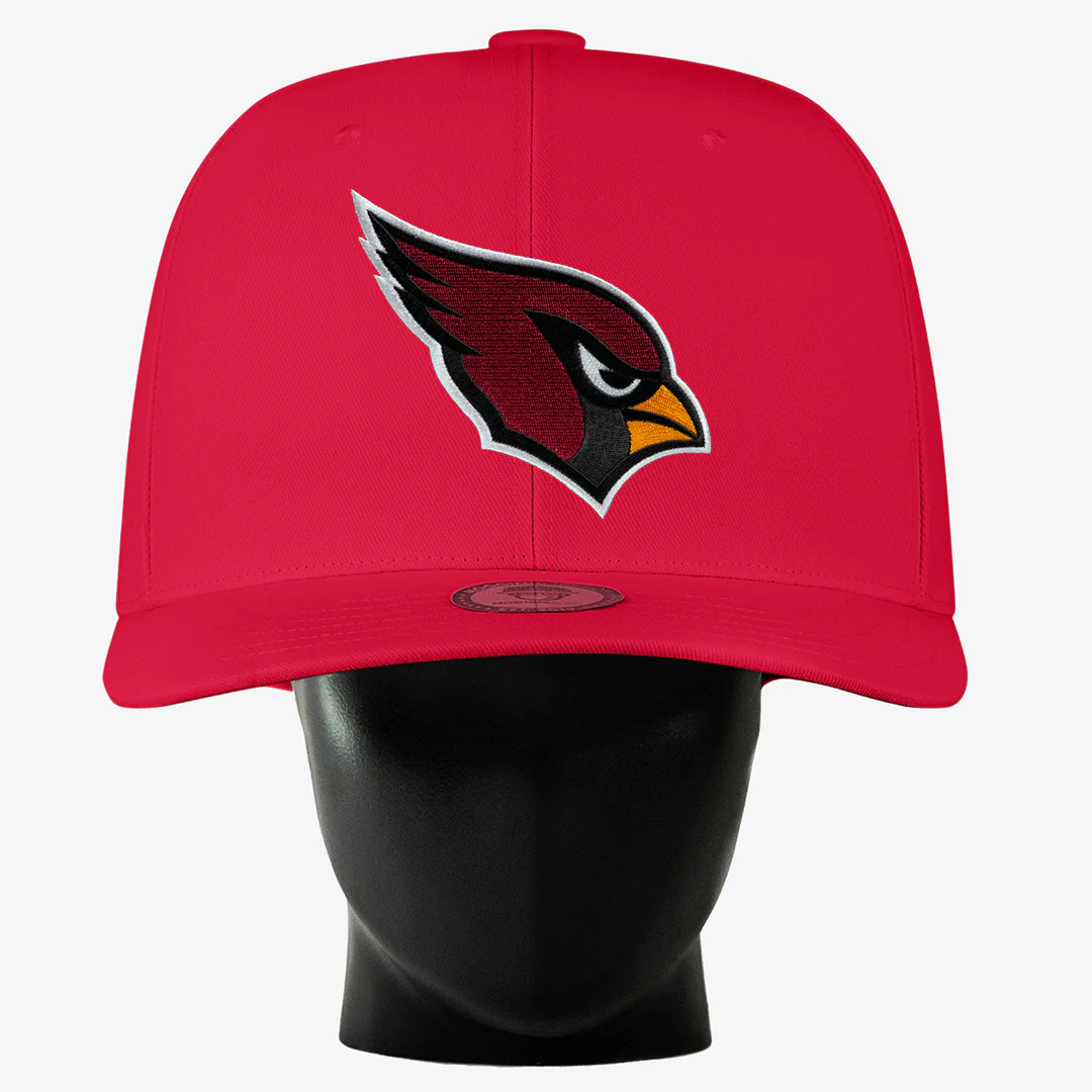Arizona Cardinals Noggin - Image 3