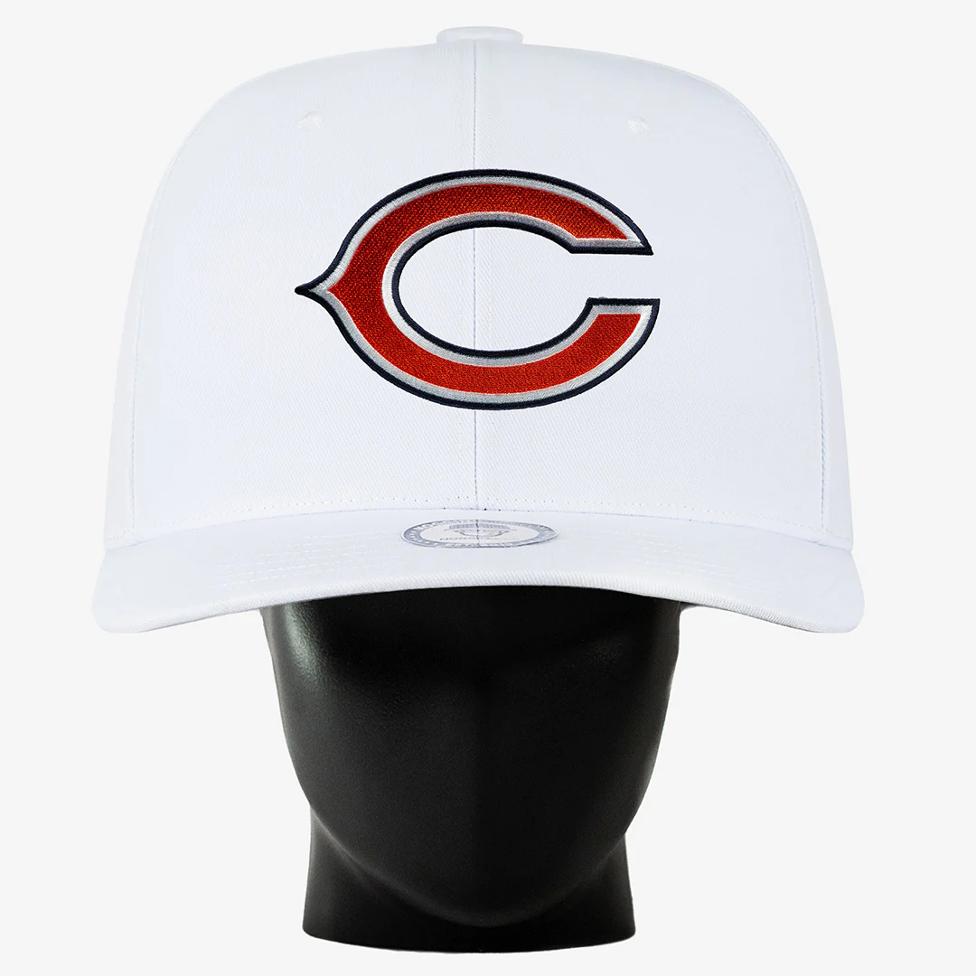 Chicago Bears Noggin - Image 3