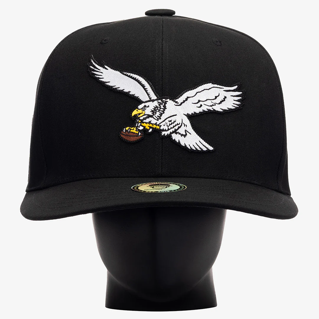 Philadelphia Eagles Throwback Noggin - Image 3
