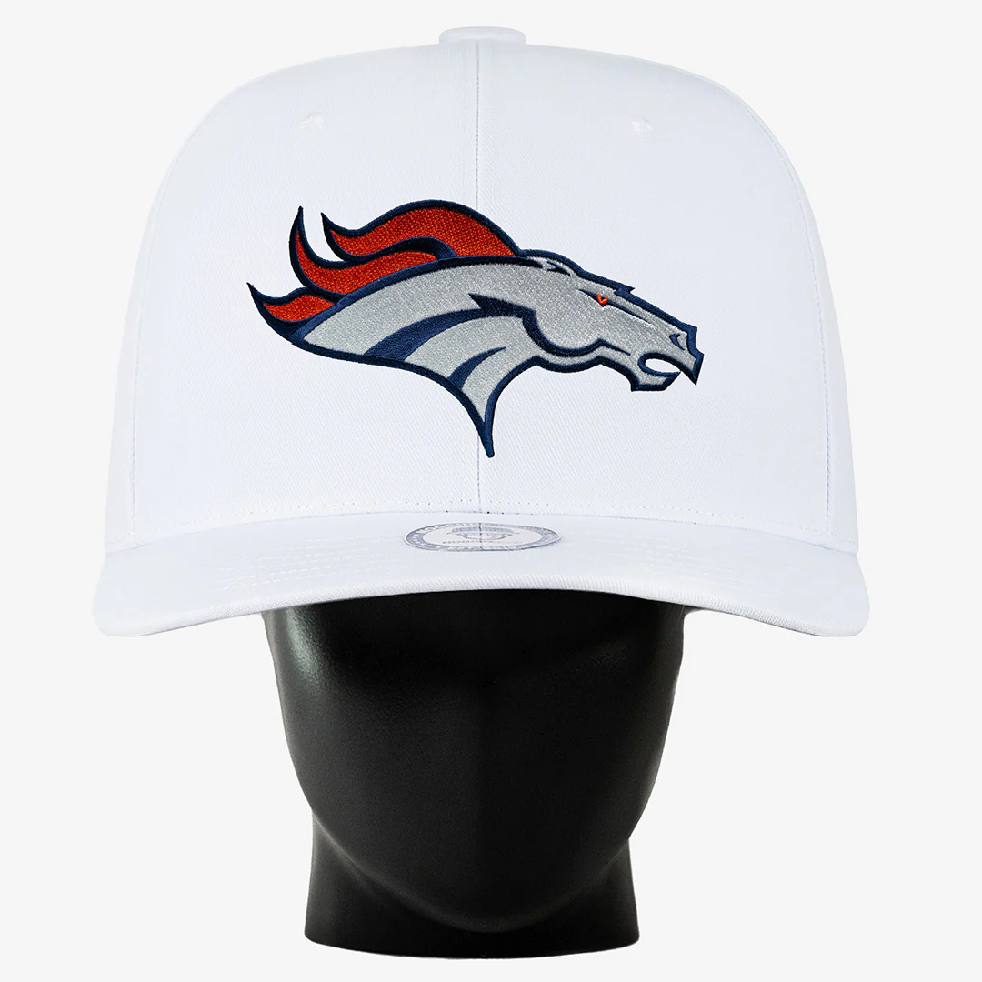 Denver Broncos Noggin - Image 3