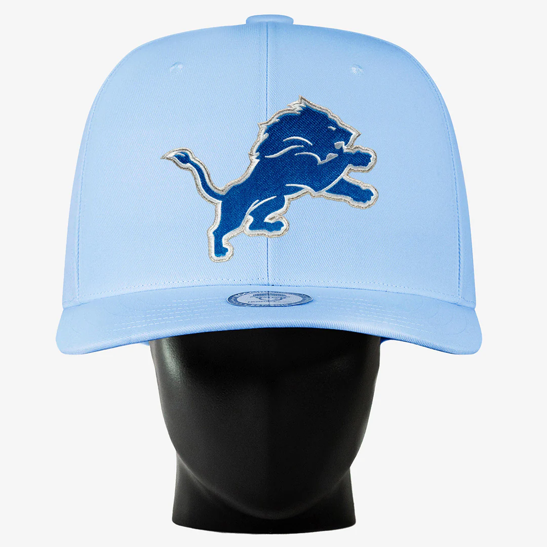 Detroit Lions Noggin - Image 3