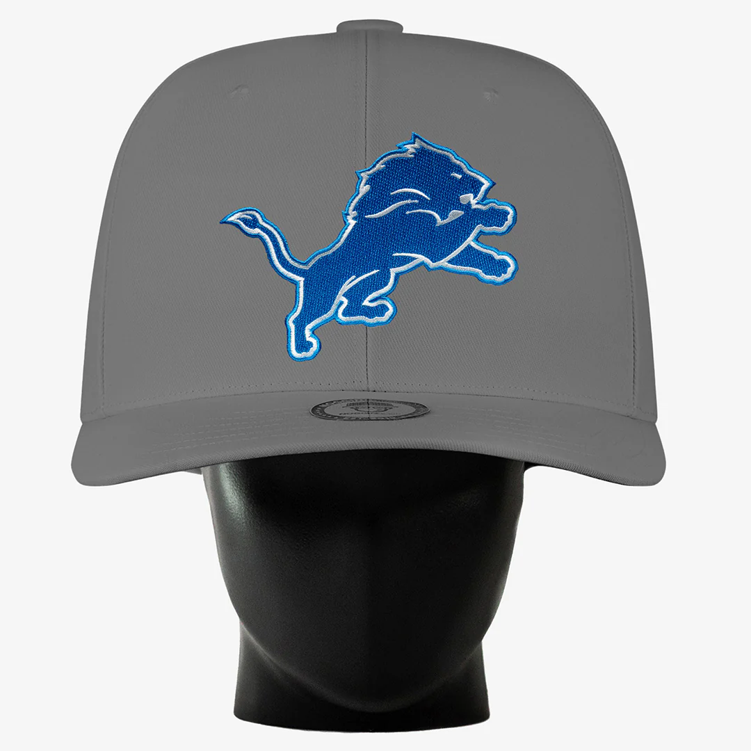 Detroit Lions Noggin - Image 4