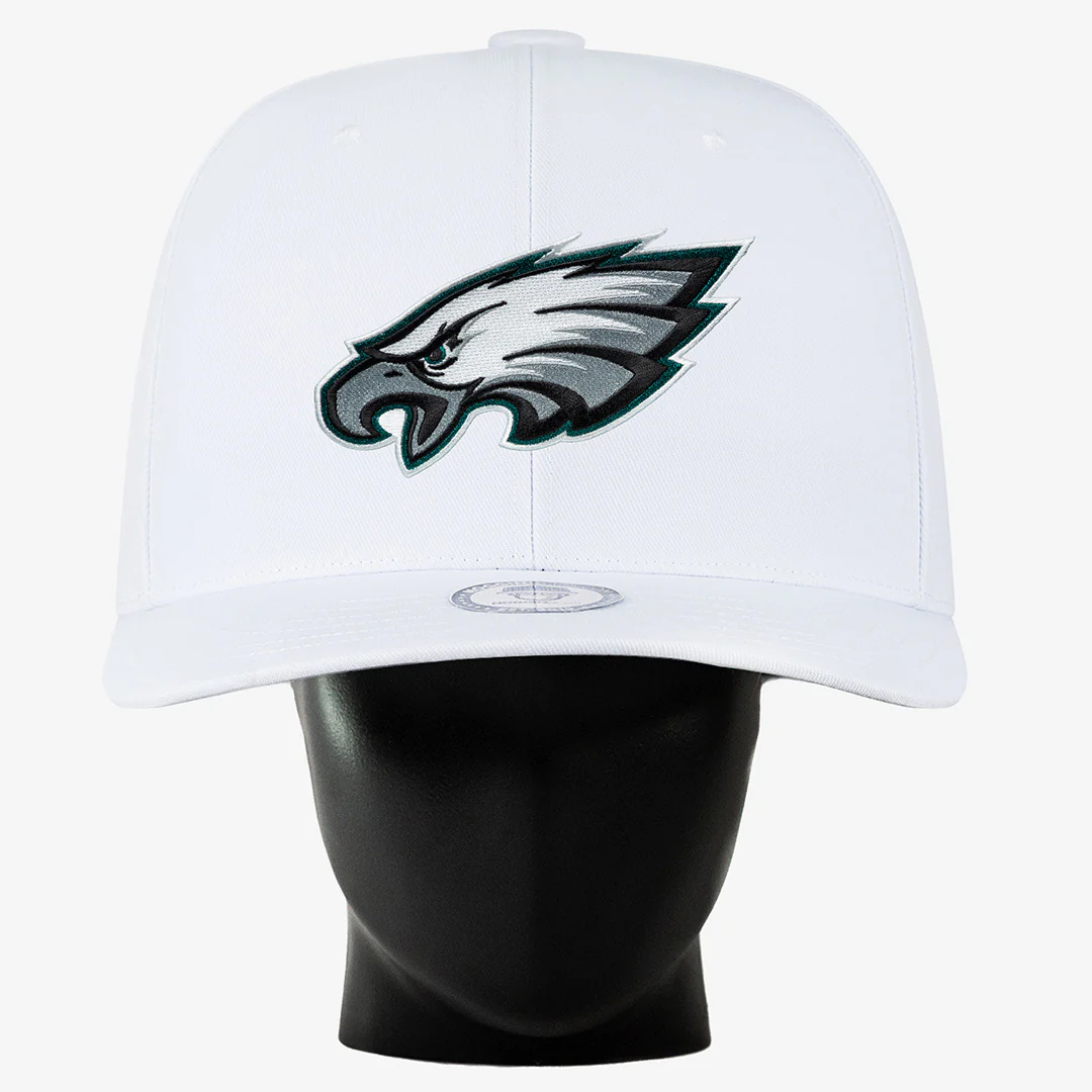 Philadelphia Eagles Noggin - Image 4